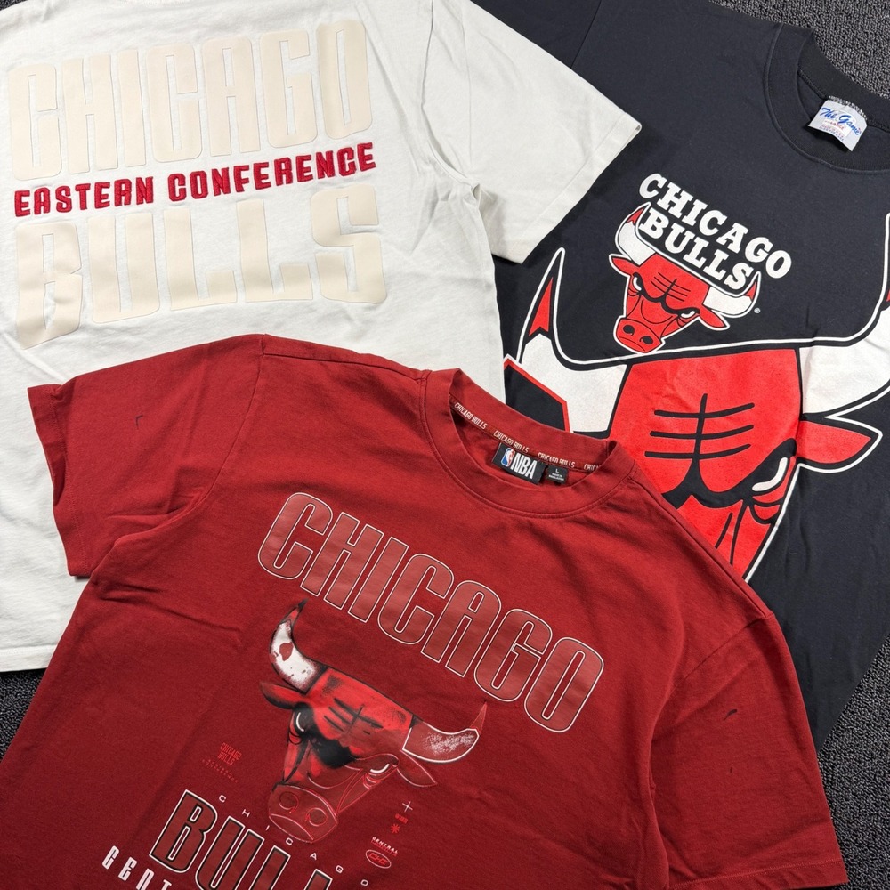 Chicago Bulls Bundle of 3 Men's L T-Shirts Vintage 90s The-Game NBA Basketball